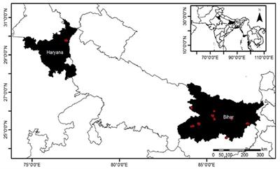 Does Household Capital Mediate the Uptake of Agricultural Land, Crop, and Livestock Adaptations? Evidence From the Indo-Gangetic Plains (India)